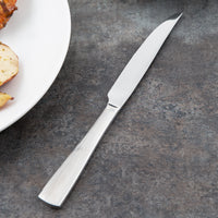 Reed & Barton RB126-5762 Silver Birch 9 3/8" 18/10 Stainless Steel Extra Heavy Weight Steak Knife - 12/Pack