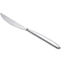 Arcoroc T7804 Satineo 9 3/8" 18/0 Stainless Steel Heavy Weight Solid Handle Dinner Knife by Arc Cardinal - 12/Pack