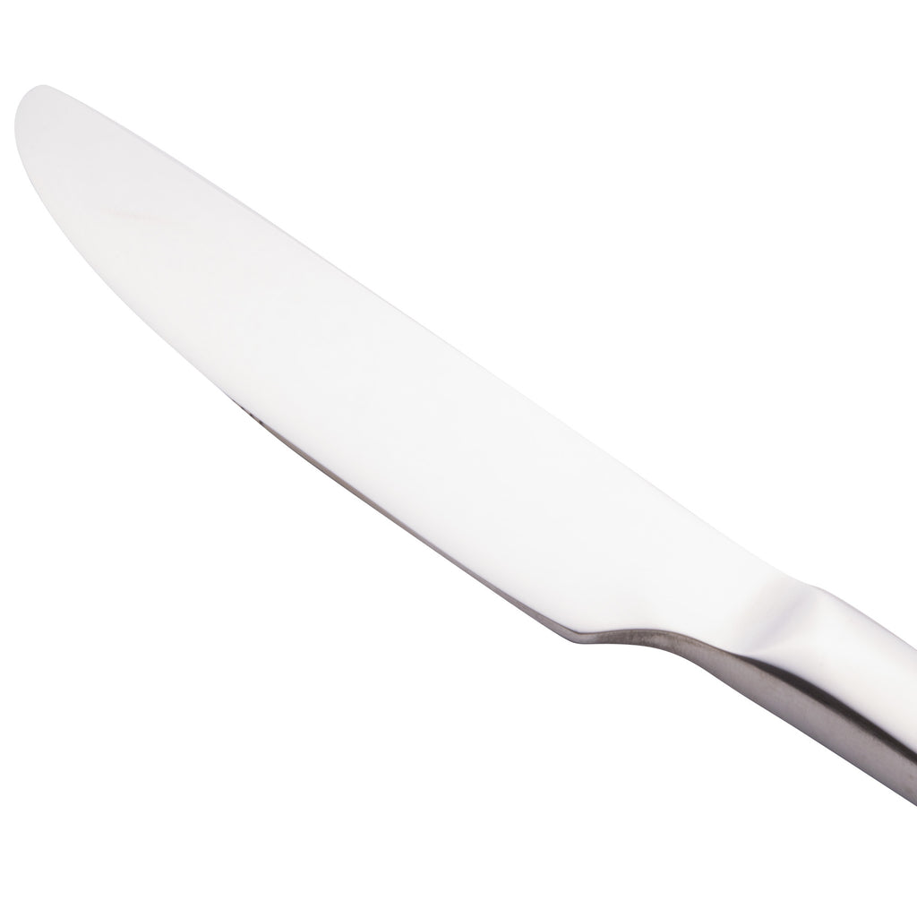 World Tableware 963 5501 Elexa 9" 18/0 Stainless Steel Heavy Weight Solid Handle Dinner Knife with Serrated Blade - 12/Pack